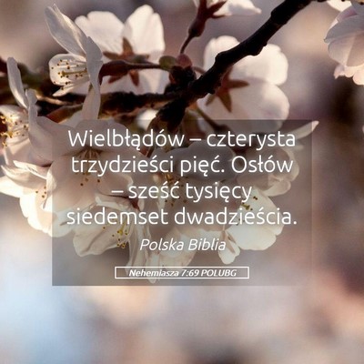 Picture 05 - Nehemiasza 7:69 POLUBG - Wielbłądów – czterysta trzydzieści pięć. - Bible Verse Picture