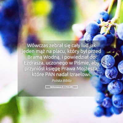 Picture 05 - Nehemiasza 8:1 POLUBG - Wówczas zebrał się cały lud jak jeden mąż - Bible Verse Picture