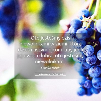 Picture 05 - Nehemiasza 9:36 POLUBG - Oto jesteśmy dziś niewolnikami w ziemi, którą - Bible Verse Picture