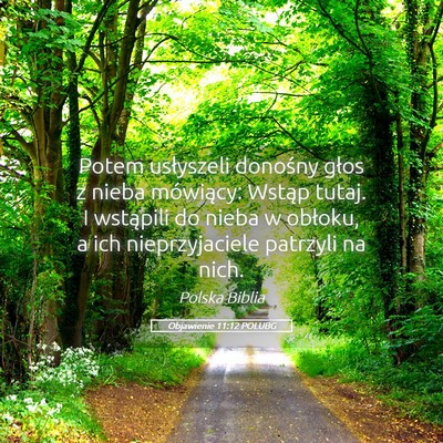 Picture 05 - Objawienie 11:12 POLUBG - Potem usłyszeli donośny głos z nieba - Bible Verse Picture