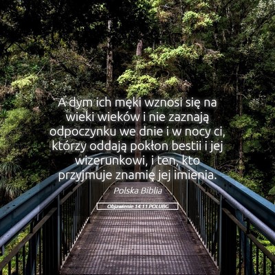 Picture 05 - Objawienie 14:11 POLUBG - A dym ich męki wznosi się na wieki wieków i - Bible Verse Picture