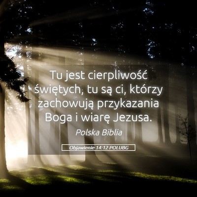 Picture 05 - Objawienie 14:12 POLUBG - Tu jest cierpliwość świętych, tu są ci, - Bible Verse Picture
