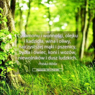 Picture 05 - Objawienie 18:13 POLUBG - Cynamonu i wonności, olejku i kadzidła, wina i - Bible Verse Picture