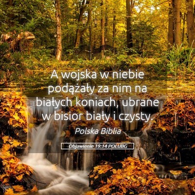 Picture 05 - Objawienie 19:14 POLUBG - A wojska w niebie podążały za nim na białych - Bible Verse Picture
