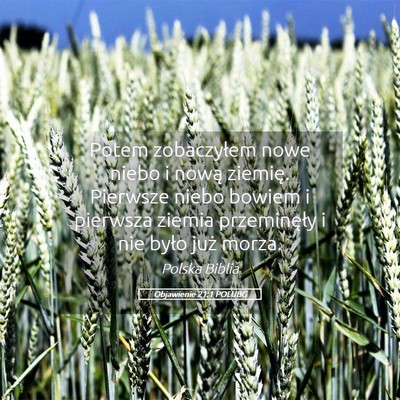 Picture 05 - Objawienie 21:1 POLUBG - Potem zobaczyłem nowe niebo i nową ziemię. - Bible Verse Picture