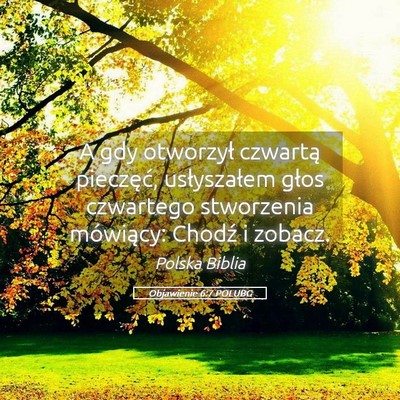 Picture 05 - Objawienie 6:7 POLUBG - A gdy otworzył czwartą pieczęć, usłyszałem - Bible Verse Picture