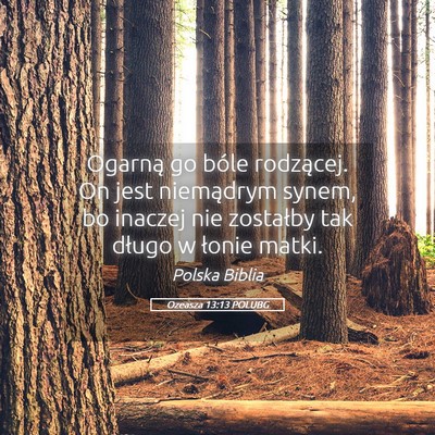 Picture 05 - Ozeasza 13:13 POLUBG - Ogarną go bóle rodzącej. On jest niemądrym - Bible Verse Picture