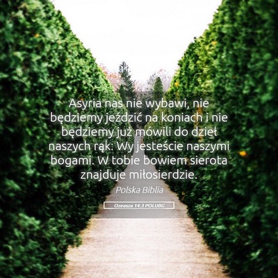 Picture 05 - Ozeasza 14:3 POLUBG - Asyria nas nie wybawi, nie będziemy jeździć na - Bible Verse Picture