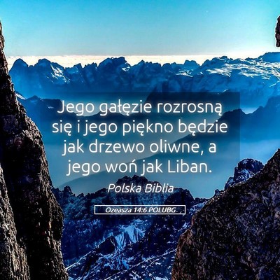 Picture 05 - Ozeasza 14:6 POLUBG - Jego gałęzie rozrosną się i jego piękno - Bible Verse Picture