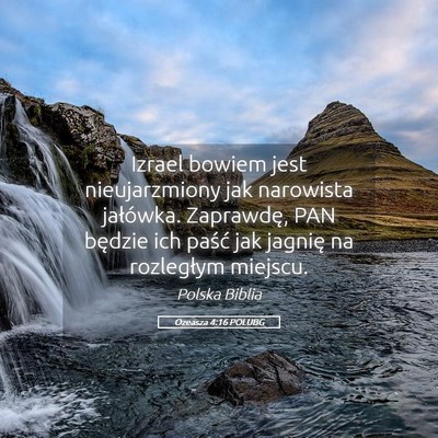 Picture 05 - Ozeasza 4:16 POLUBG - Izrael bowiem jest nieujarzmiony jak narowista - Bible Verse Picture