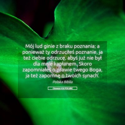 Picture 05 - Ozeasza 4:6 POLUBG - Mój lud ginie z braku poznania; a ponieważ ty - Bible Verse Picture