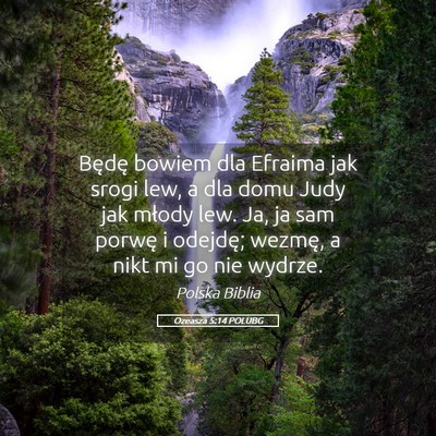 Picture 05 - Ozeasza 5:14 POLUBG - Będę bowiem dla Efraima jak srogi lew, a dla - Bible Verse Picture