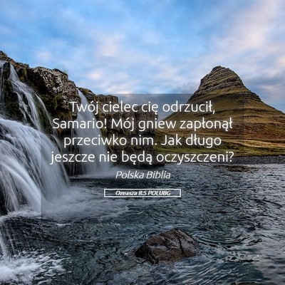 Picture 05 - Ozeasza 8:5 POLUBG - Twój cielec cię odrzucił, Samario! Mój gniew - Bible Verse Picture
