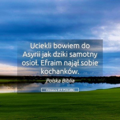 Picture 05 - Ozeasza 8:9 POLUBG - Uciekli bowiem do Asyrii jak dziki samotny - Bible Verse Picture