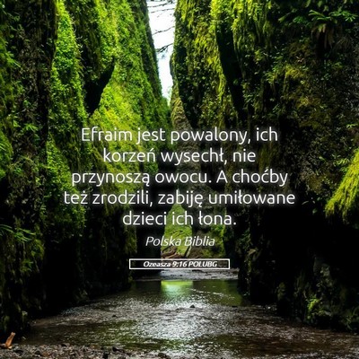 Picture 05 - Ozeasza 9:16 POLUBG - Efraim jest powalony, ich korzeń wysechł, nie - Bible Verse Picture