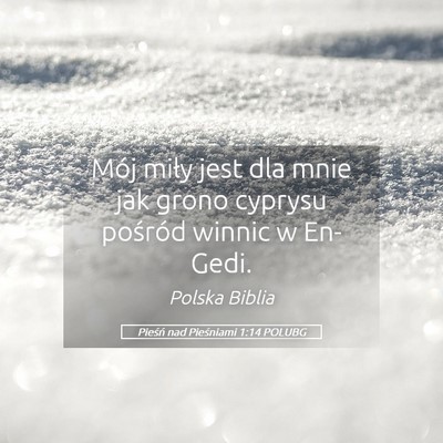 Picture 05 - Pieśń nad Pieśniami 1:14 POLUBG - Mój miły jest dla mnie jak grono cyprysu - Bible Verse Picture