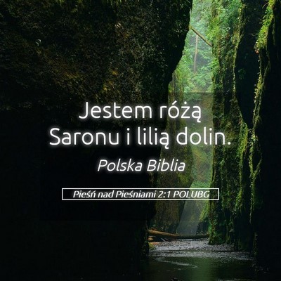 Picture 05 - Pieśń nad Pieśniami 2:1 POLUBG - Jestem różą Saronu i lilią - Bible Verse Picture