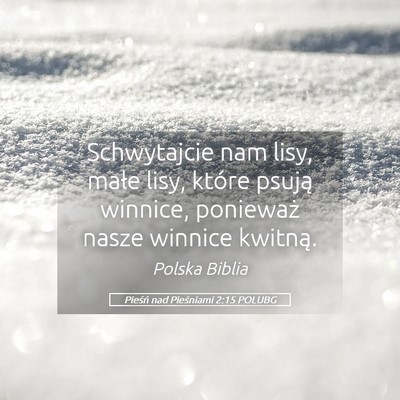 Picture 05 - Pieśń nad Pieśniami 2:15 POLUBG - Schwytajcie nam lisy, małe lisy, które psują - Bible Verse Picture