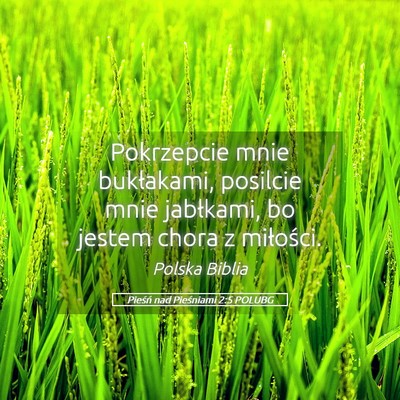 Picture 05 - Pieśń nad Pieśniami 2:5 POLUBG - Pokrzepcie mnie bukłakami, posilcie mnie - Bible Verse Picture