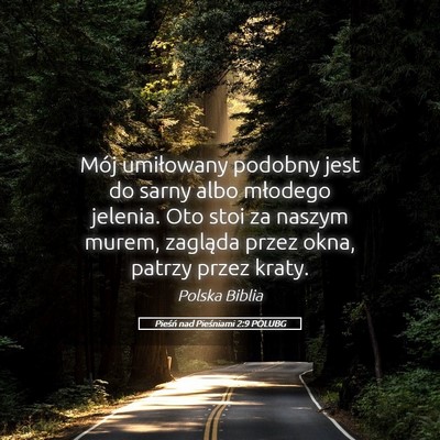 Picture 05 - Pieśń nad Pieśniami 2:9 POLUBG - Mój umiłowany podobny jest do sarny albo - Bible Verse Picture