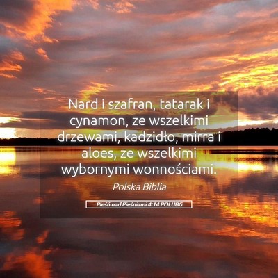 Picture 05 - Pieśń nad Pieśniami 4:14 POLUBG - Nard i szafran, tatarak i cynamon, ze wszelkimi - Bible Verse Picture