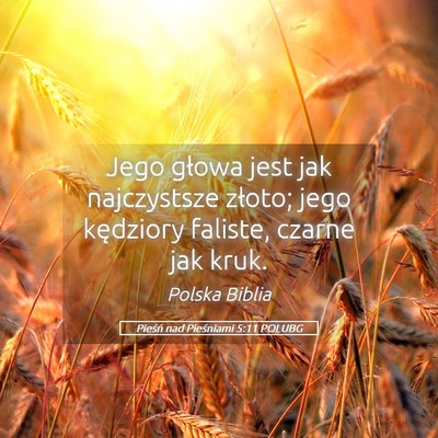 Picture 05 - Pieśń nad Pieśniami 5:11 POLUBG - Jego głowa jest jak najczystsze złoto; jego - Bible Verse Picture