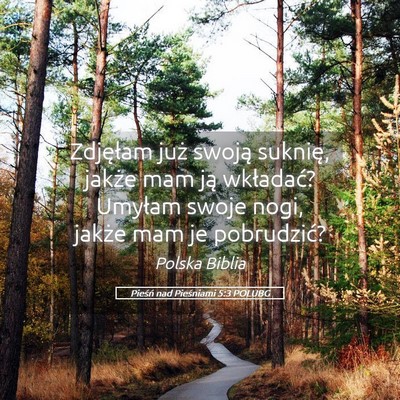 Picture 05 - Pieśń nad Pieśniami 5:3 POLUBG - Zdjęłam już swoją suknię, jakże mam ją - Bible Verse Picture