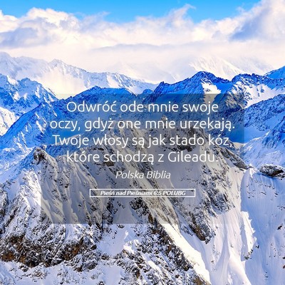 Picture 05 - Pieśń nad Pieśniami 6:5 POLUBG - Odwróć ode mnie swoje oczy, gdyż one mnie - Bible Verse Picture