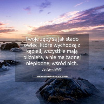 Picture 05 - Pieśń nad Pieśniami 6:6 POLUBG - Twoje zęby są jak stado owiec, które wychodzą - Bible Verse Picture