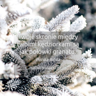 Picture 05 - Pieśń nad Pieśniami 6:7 POLUBG - Twoje skronie między twoimi kędziorkami są jak - Bible Verse Picture