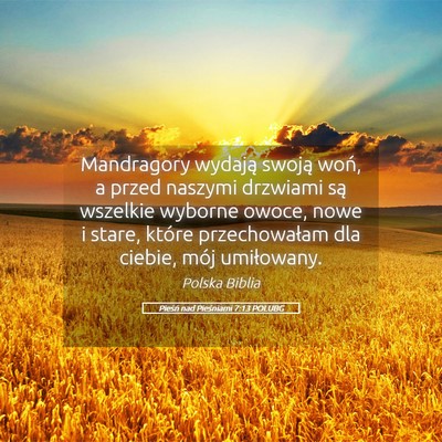 Picture 05 - Pieśń nad Pieśniami 7:13 POLUBG - Mandragory wydają swoją woń, a przed naszymi - Bible Verse Picture