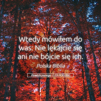 Picture 05 - Powtórzonego 1:29 POLUBG - Wtedy mówiłem do was: Nie lękajcie się ani - Bible Verse Picture