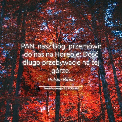 Picture 05 - Powtórzonego 1:6 POLUBG - PAN, nasz Bóg, przemówił do nas na Horebie: - Bible Verse Picture