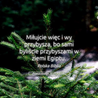 Picture 05 - Powtórzonego 10:19 POLUBG - Miłujcie więc i wy przybysza, bo sami byliście - Bible Verse Picture