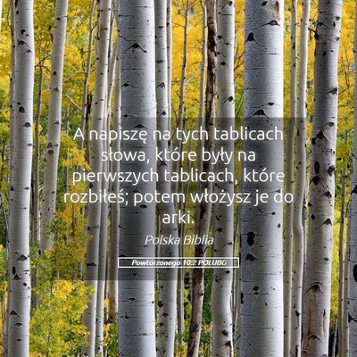 Picture 05 - Powtórzonego 10:2 POLUBG - A napiszę na tych tablicach słowa, które były - Bible Verse Picture