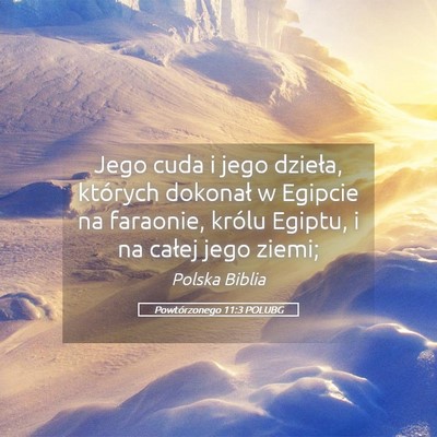 Picture 05 - Powtórzonego 11:3 POLUBG - Jego cuda i jego dzieła, których dokonał w - Bible Verse Picture