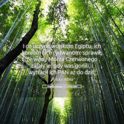 Picture 05 - Powtórzonego 11:4 POLUBG - I co uczynił wojskom Egiptu, ich koniom i ich - Bible Verse Picture