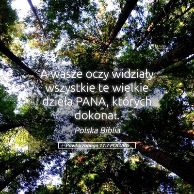 Picture 05 - Powtórzonego 11:7 POLUBG - A wasze oczy widziały wszystkie te wielkie - Bible Verse Picture