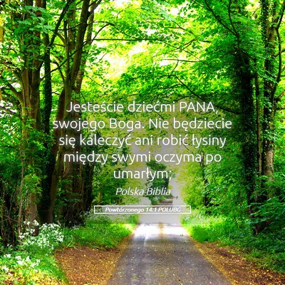 Picture 05 - Powtórzonego 14:1 POLUBG - Jesteście dziećmi PANA, swojego Boga. Nie - Bible Verse Picture