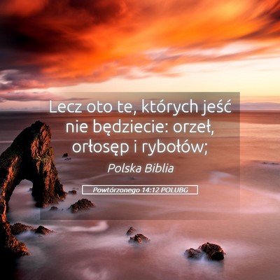 Picture 05 - Powtórzonego 14:12 POLUBG - Lecz oto te, których jeść nie będziecie: - Bible Verse Picture