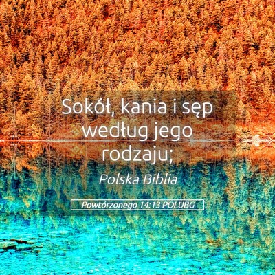 Picture 05 - Powtórzonego 14:13 POLUBG - Sokół, kania i sęp według jego - Bible Verse Picture