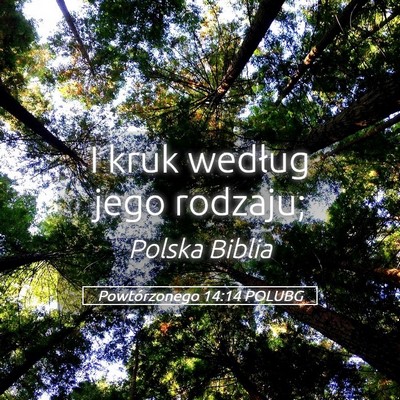 Picture 05 - Powtórzonego 14:14 POLUBG - I kruk według jego - Bible Verse Picture