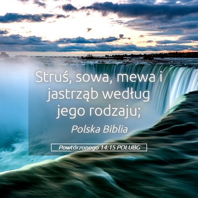 Picture 05 - Powtórzonego 14:15 POLUBG - Struś, sowa, mewa i jastrząb według jego - Bible Verse Picture