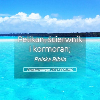 Picture 05 - Powtórzonego 14:17 POLUBG - Pelikan, ścierwnik i - Bible Verse Picture