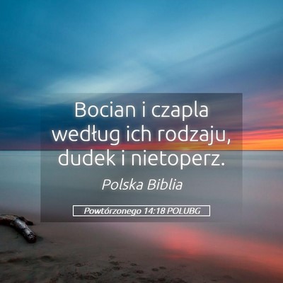 Picture 05 - Powtórzonego 14:18 POLUBG - Bocian i czapla według ich rodzaju, dudek i - Bible Verse Picture