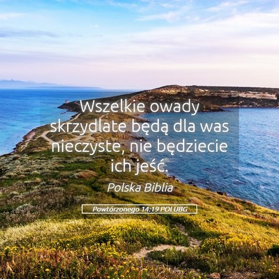 Picture 05 - Powtórzonego 14:19 POLUBG - Wszelkie owady skrzydlate będą dla was - Bible Verse Picture
