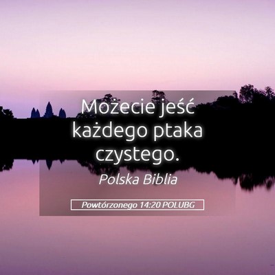 Picture 05 - Powtórzonego 14:20 POLUBG - Możecie jeść każdego ptaka - Bible Verse Picture