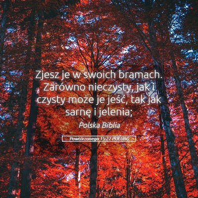 Picture 05 - Powtórzonego 15:22 POLUBG - Zjesz je w swoich bramach. Zarówno nieczysty, - Bible Verse Picture