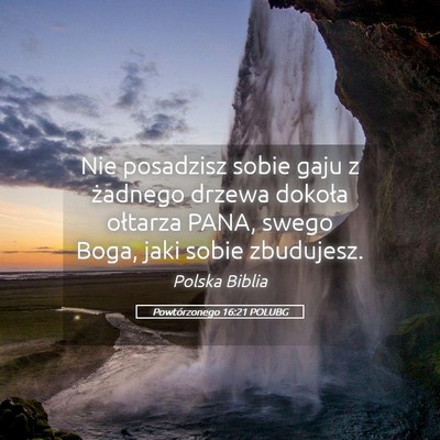 Picture 05 - Powtórzonego 16:21 POLUBG - Nie posadzisz sobie gaju z żadnego drzewa - Bible Verse Picture