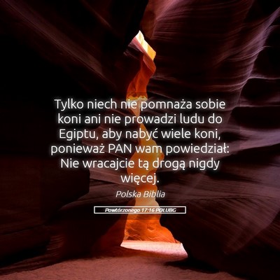 Picture 05 - Powtórzonego 17:16 POLUBG - Tylko niech nie pomnaża sobie koni ani nie - Bible Verse Picture